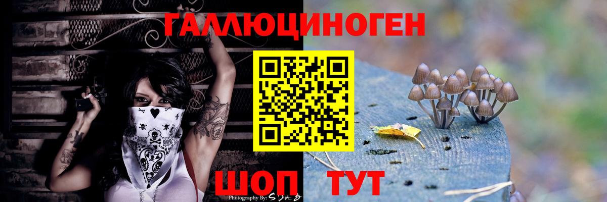 Дзержинск  Псилоцибиновые грибы прущие грибы  Вход с VPN 